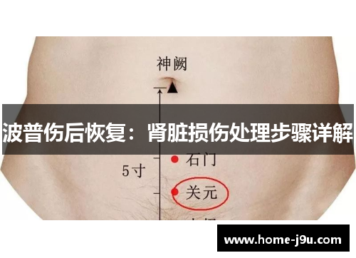 波普伤后恢复：肾脏损伤处理步骤详解