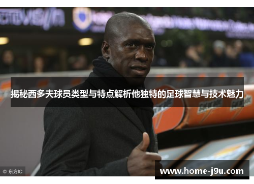 揭秘西多夫球员类型与特点解析他独特的足球智慧与技术魅力